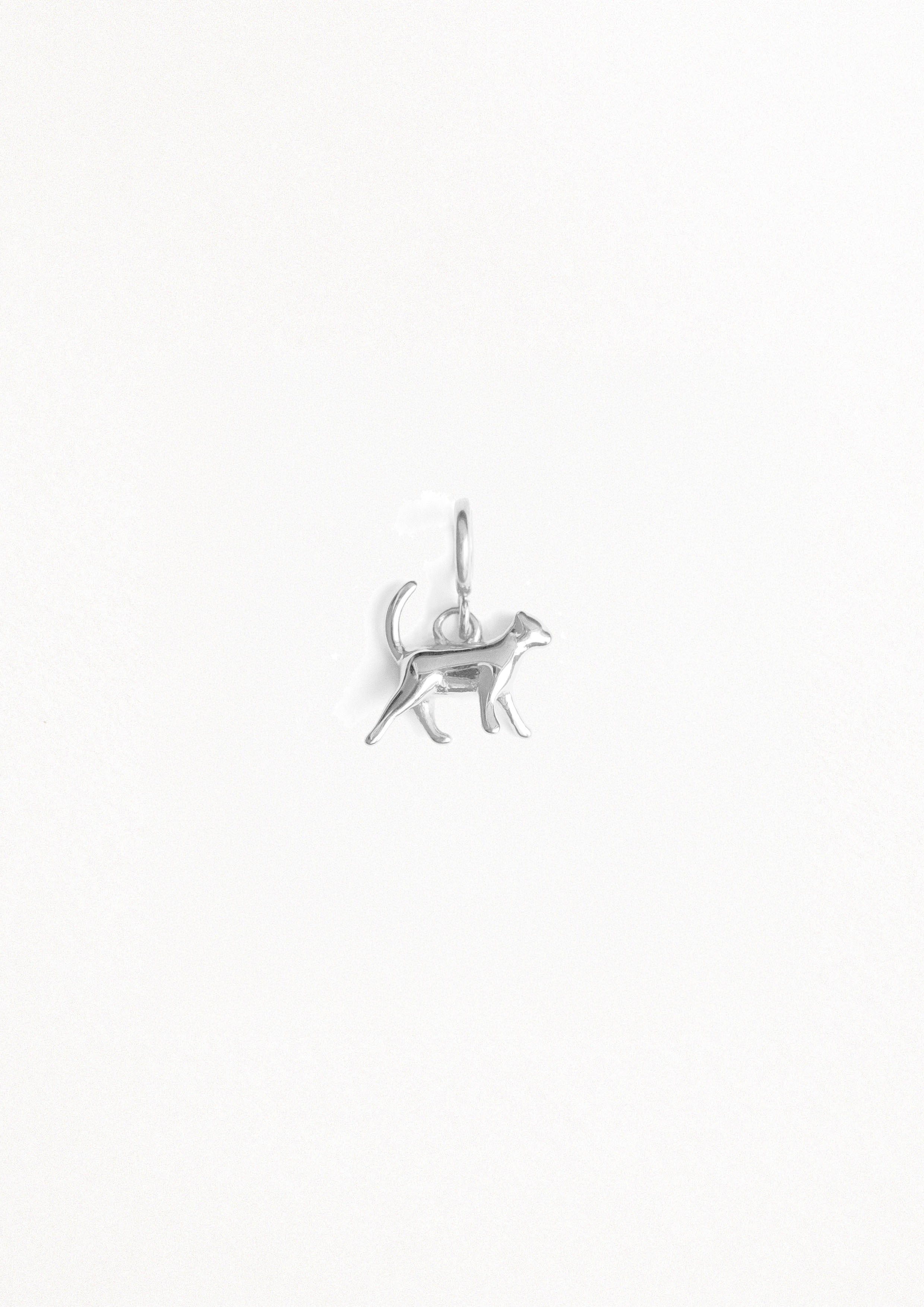 PETIT CHAT ARGENT