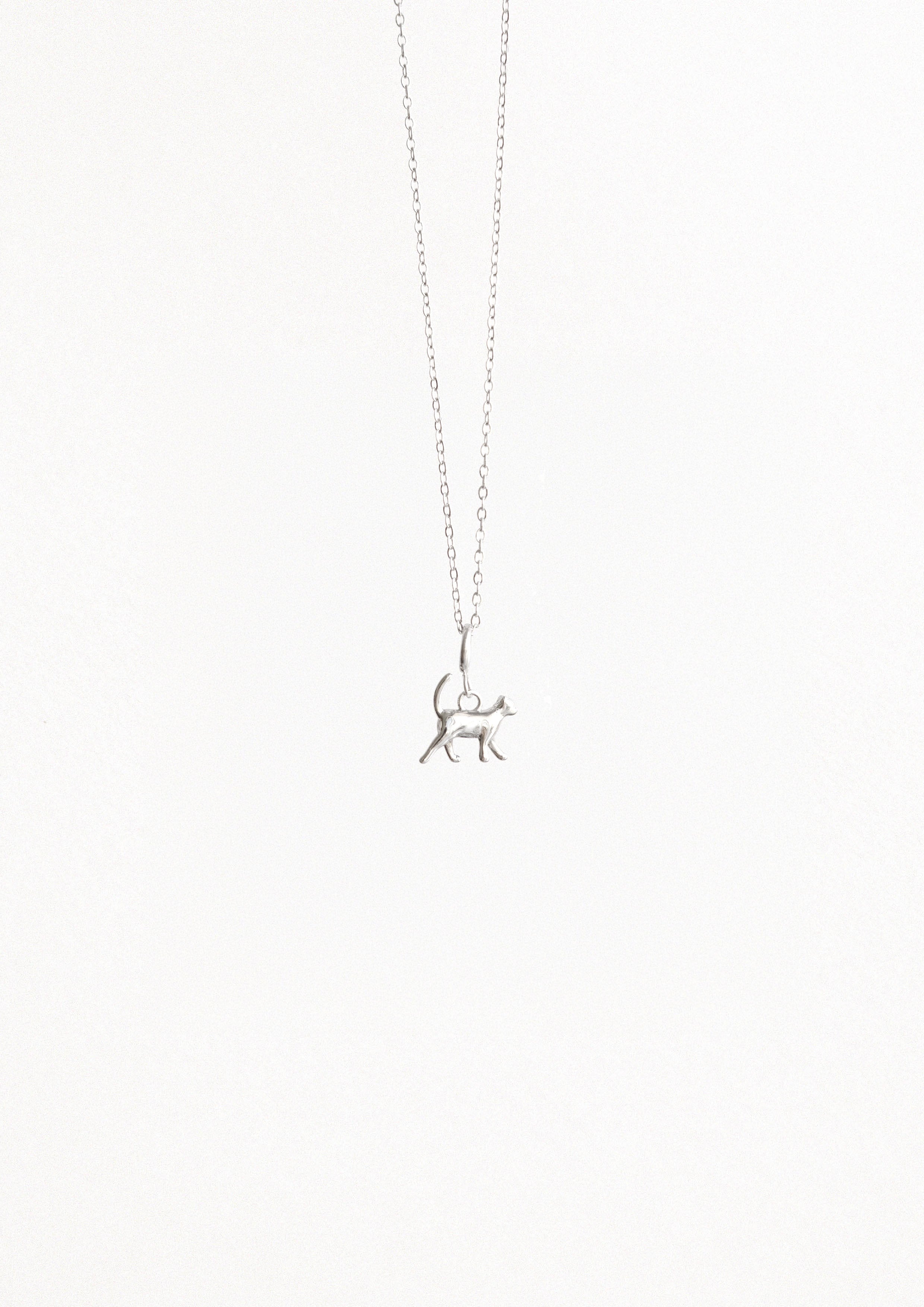 PETIT CHAT ARGENT