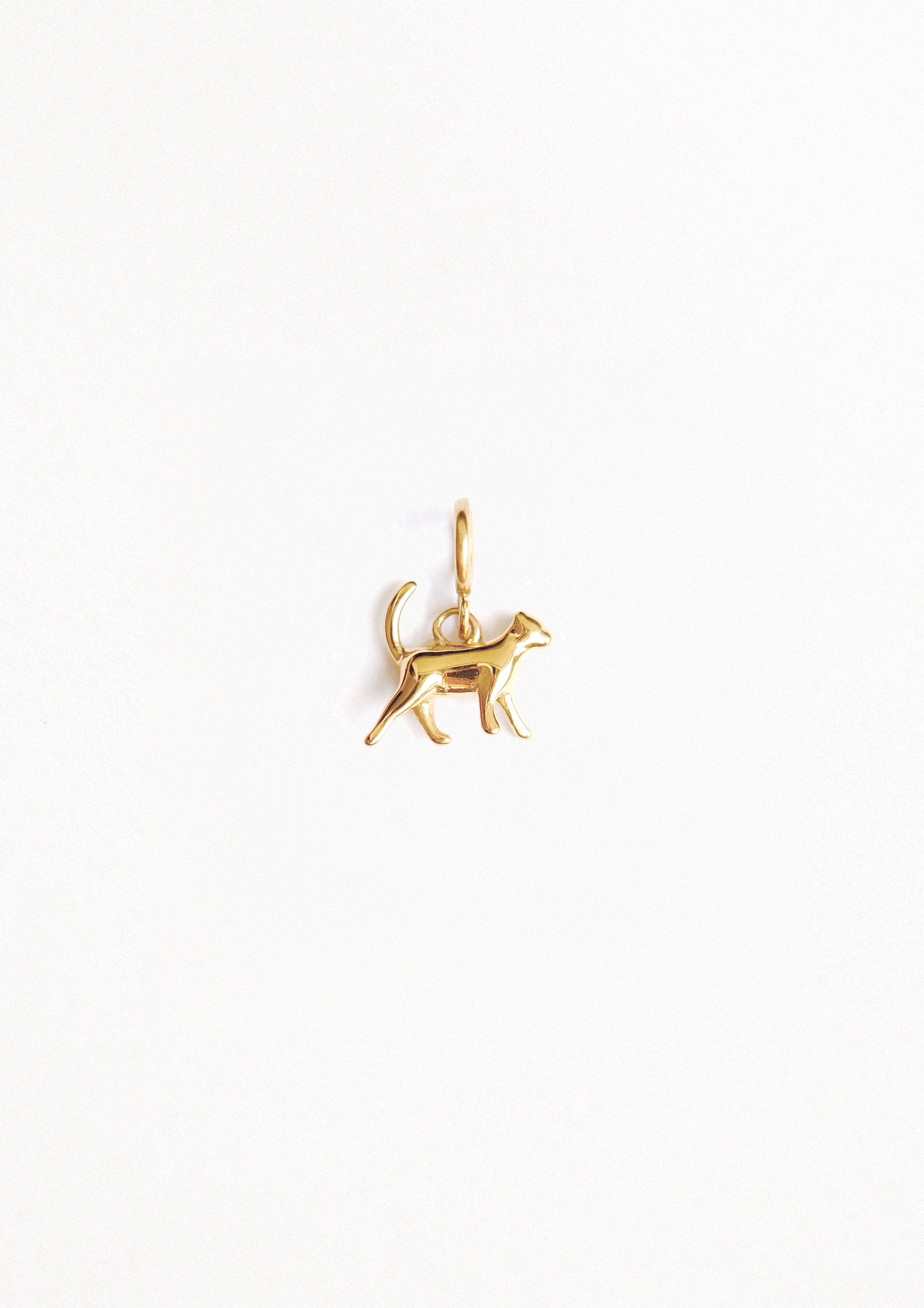 PETIT CHAT OR