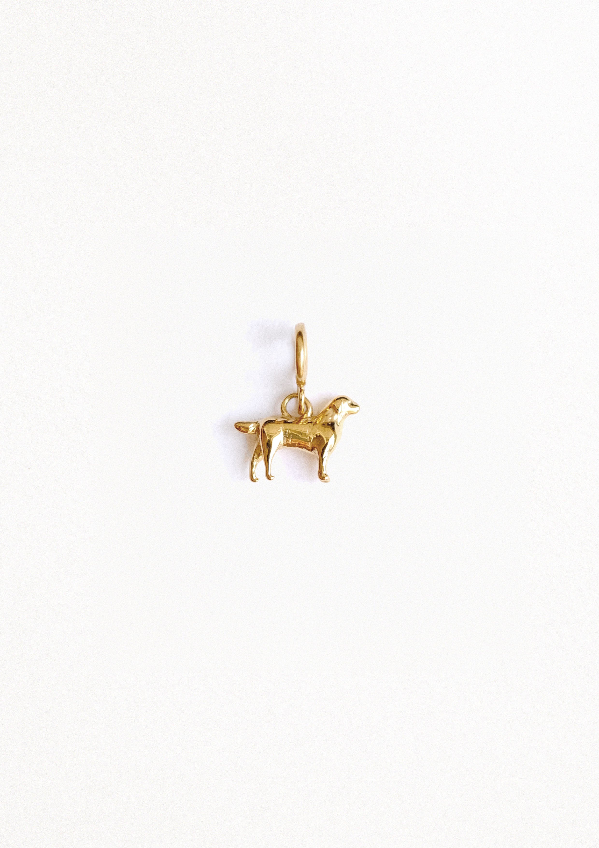 PETIT CHIEN OR