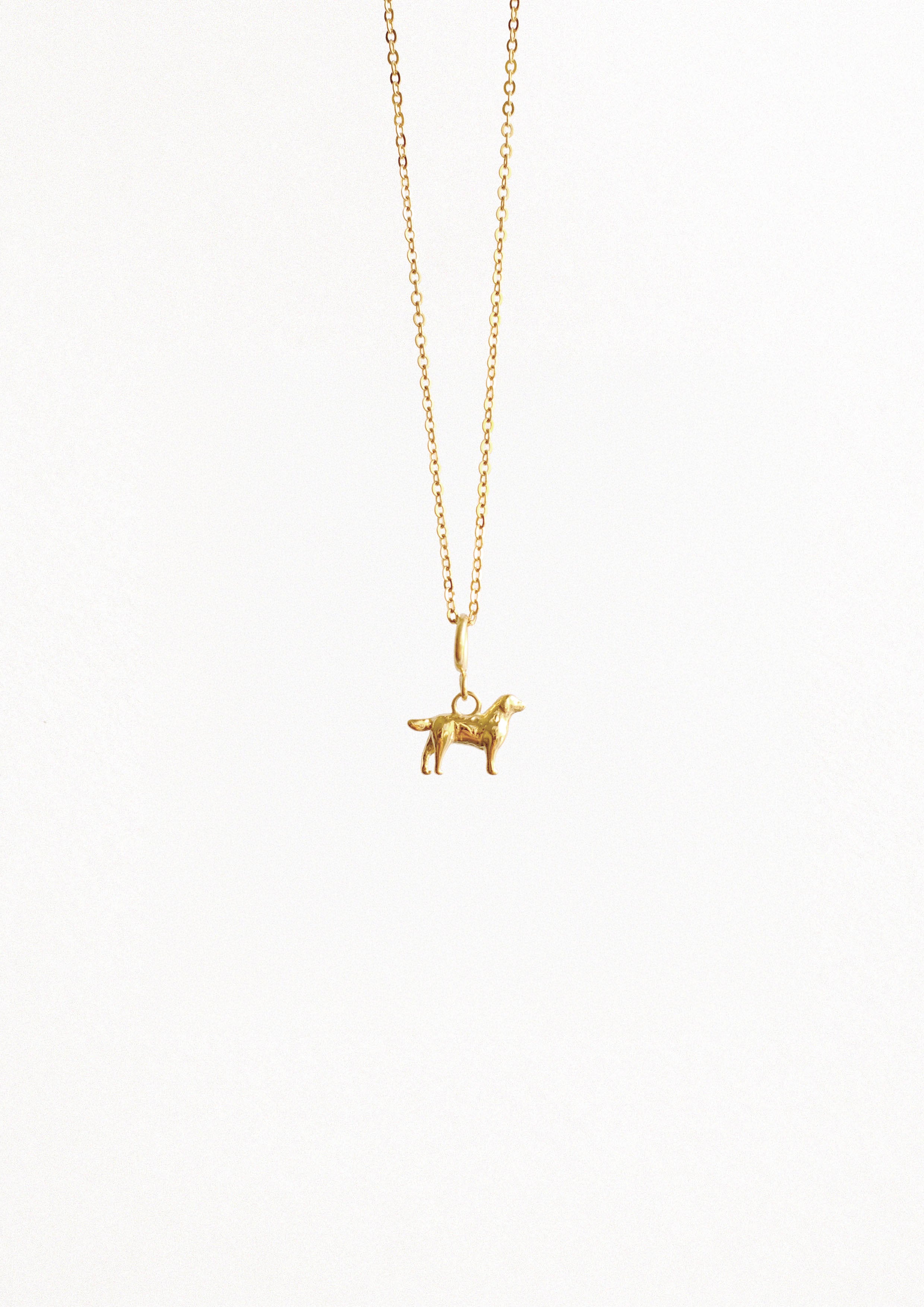 PETIT CHIEN OR